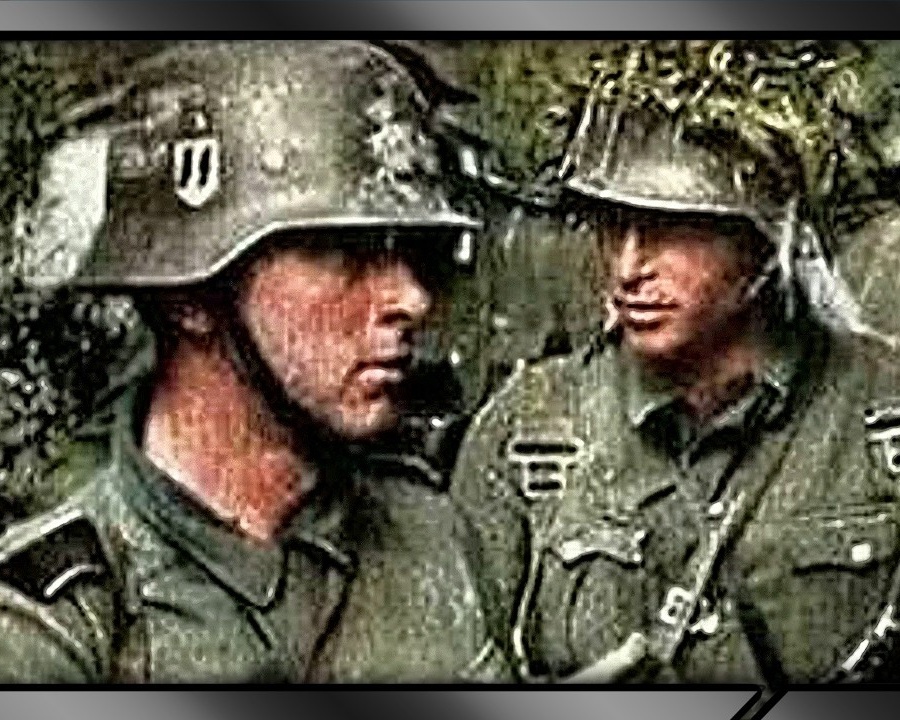 Die alten Kameraden gingen einer nach dem anderen. Erinnerungen eines Generals der SS-Truppen.  DD