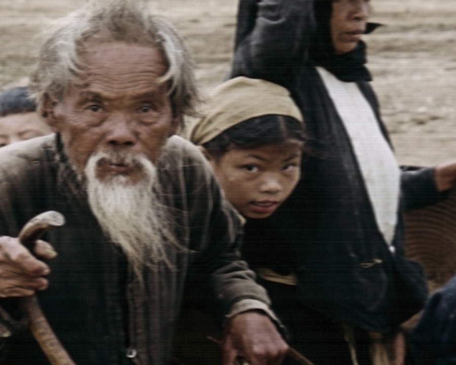 Der Vietnamkrieg: Anatomie einer Katastrophe   DD