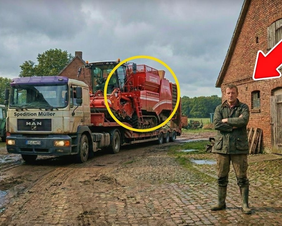 Er setzte alles auf die goldene Knolle, der vierreihige Grimme-Gigant, der das Dorf verstummen ließ.  DD