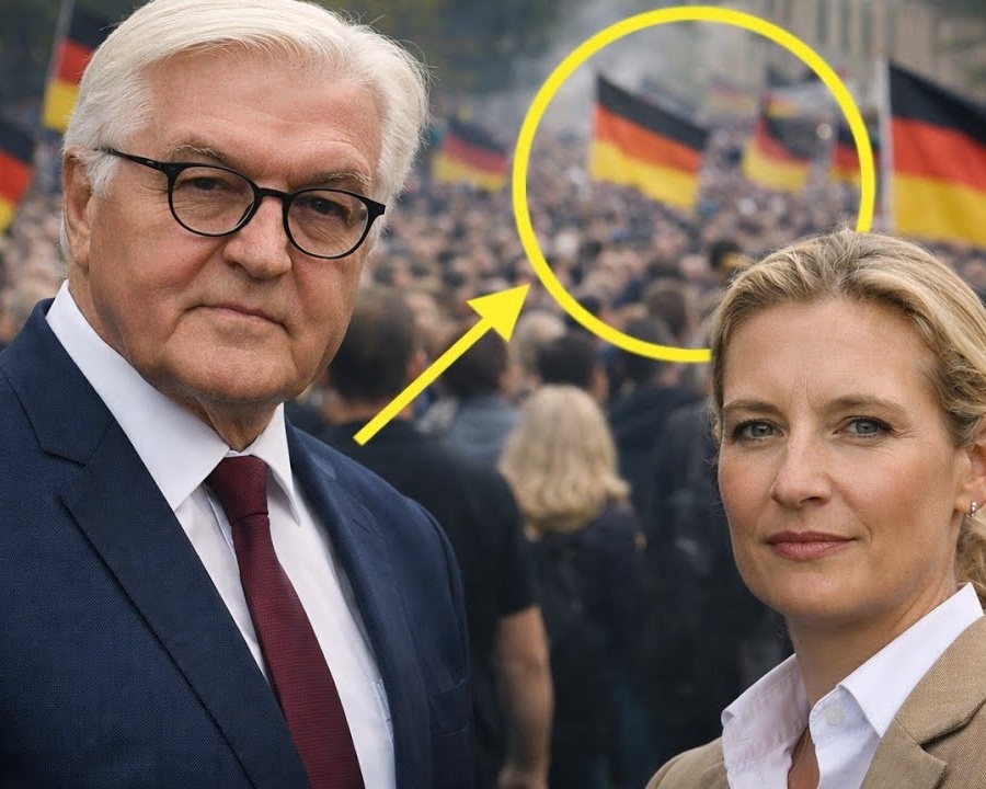 STEINMEIER SCHNAUZT ALICE WEIDEL AN „RAUS HIER!“ – IHRE ANTWORT VEREINT DAS GANZE LAND  DD