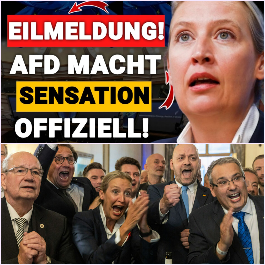 Ein politisches Beben im Westen: Wie das historische Direktmandat in Mannheim die Grundfesten der etablierten Parteien erschüttert