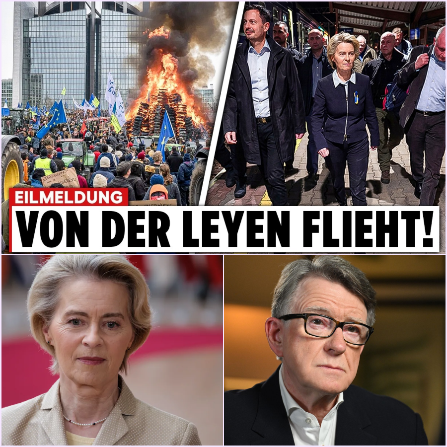 Flucht vor dem Volk und dunkle Geheimnisse: Wie ein Skandal und wütende Massen das EU-Parlament in Brüssel erschüttern