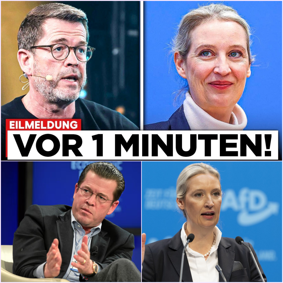 Das Ende der Brandmauer: Guttenbergs explosives Angebot an die AfD und der drohende Kollaps der CDU