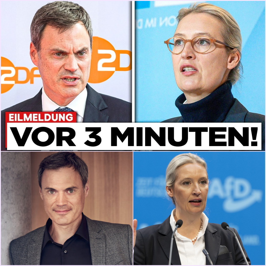 Manipulation zur besten Sendezeit: Wie der ZDF-Grafikskandal das System entlarvt und das Vertrauen der Bürger zerstört