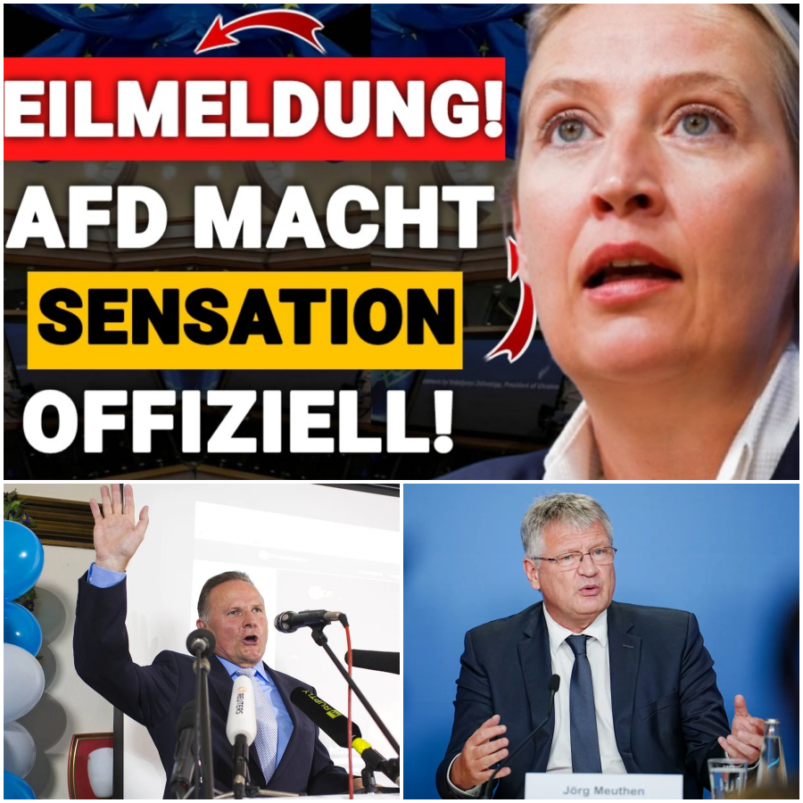 Politisches Erdbeben in Baden-Württemberg: Historischer AfD-Sieg in Mannheim bricht jahrzehntelange Dominanz der etablierten Parteien