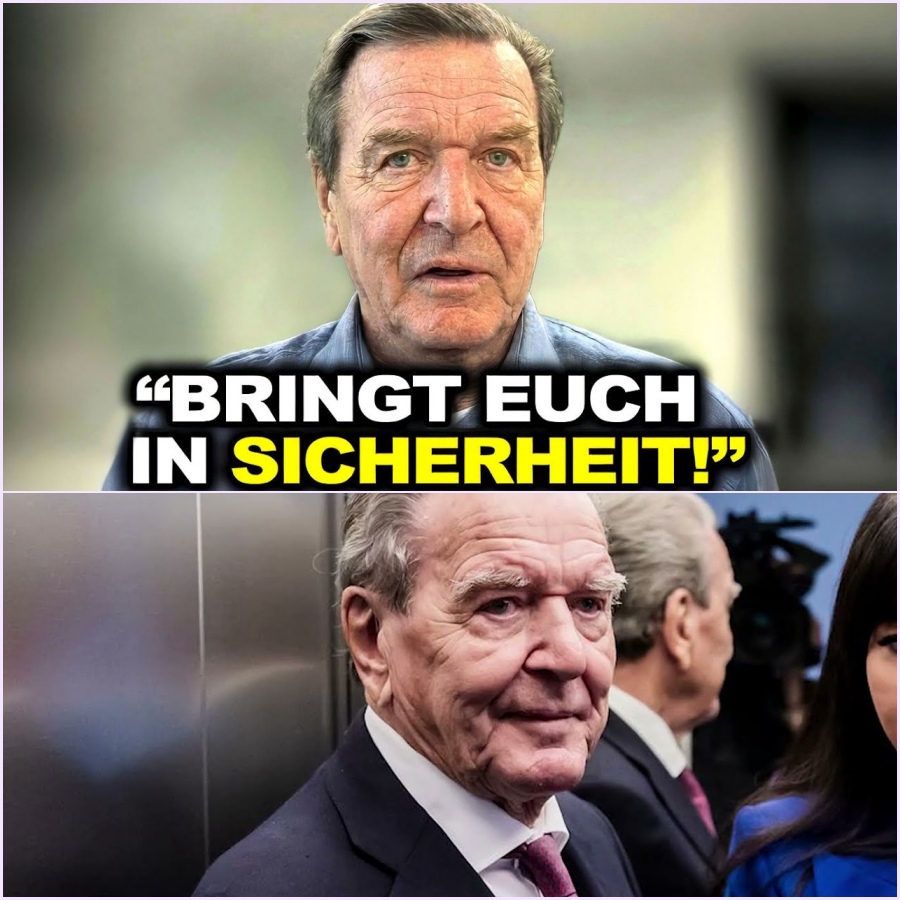 Das politische Erdbeben: Wie Gerhard Schröder mit vier Worten das Establishment erschüttert und die SPD in Panik versetzt