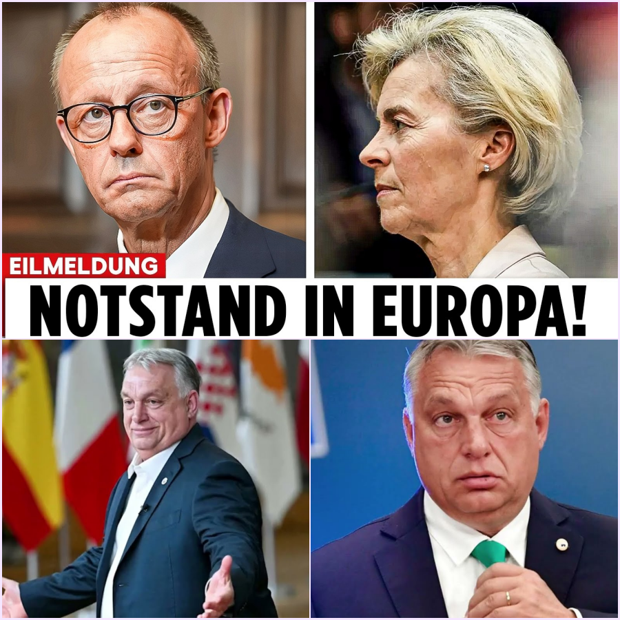 Der 90-Minuten-Showdown: Wie Viktor Orbán die EU-Elite in Panik versetzte und was das für unser Steuergeld bedeutet