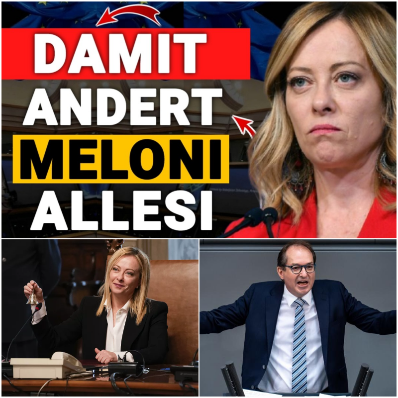 EILMELDUNG: Ein beispielloser politischer Paukenschlag – Wie Italien mit sofortigen Preissenkungen die deutsche Politik blamiert