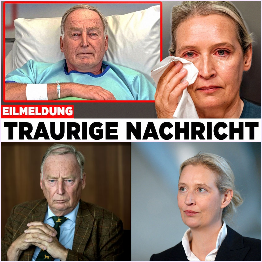 Eskalation der politischen Gewalt: Wenn der demokratische Diskurs in Hass, Einschüchterung und nackte Angst umschlägt