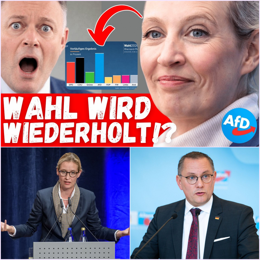 Politisches Beben in Rheinland-Pfalz: Rekordergebnisse, Betrugsvorwürfe und das Bröckeln der Brandmauer