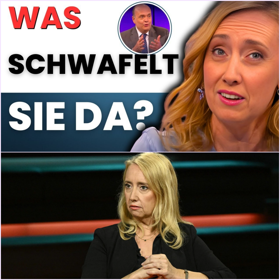 Explosiver TV-Schlagabtausch: Robin Alexander und Melanie Amann im erbitterten Kampf um Steuer-Millionen für NGOs, AfD-Schikane und den Verlust der politischen Mitte!