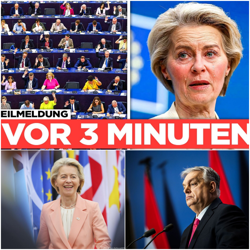 Der tiefe Fall der EU-Elite: Wie das Parlament rebelliert und Ursula von der Leyen die Kontrolle entgleitet