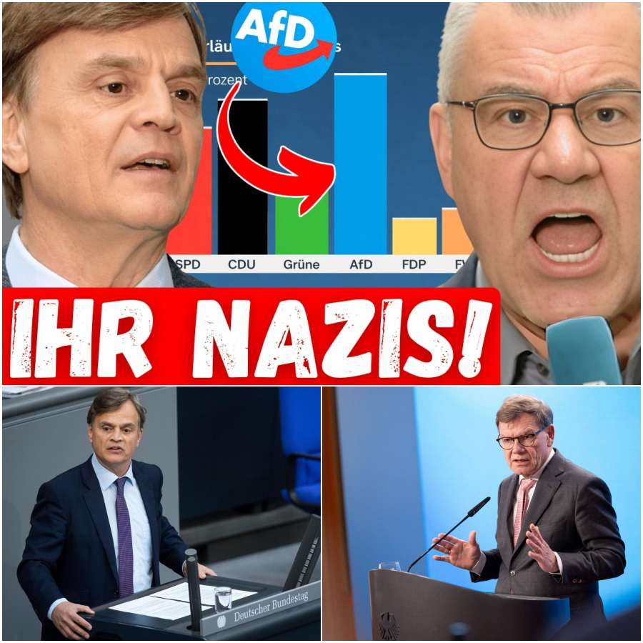 Der Reporter-Eklat und die bröckelnde Brandmauer: Wie die Panik der Etablierten die AfD nur noch stärker macht