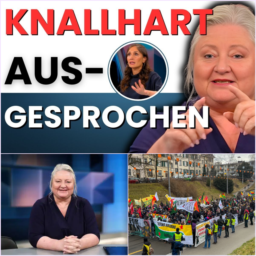 Der TV-Eklat, der Deutschland bewegt: Warum Antje Hermenau ausspricht, was Millionen denken (und die Politik ignoriert)