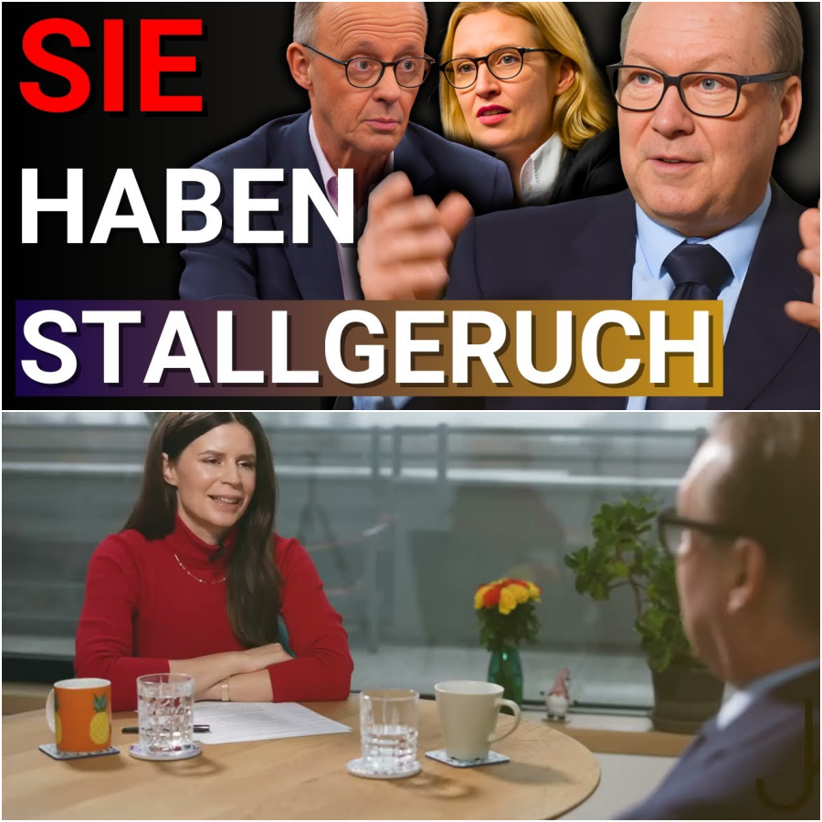 Merz hat Stallgeruch von Blackrock – doch was ist mit Alice Weidel?