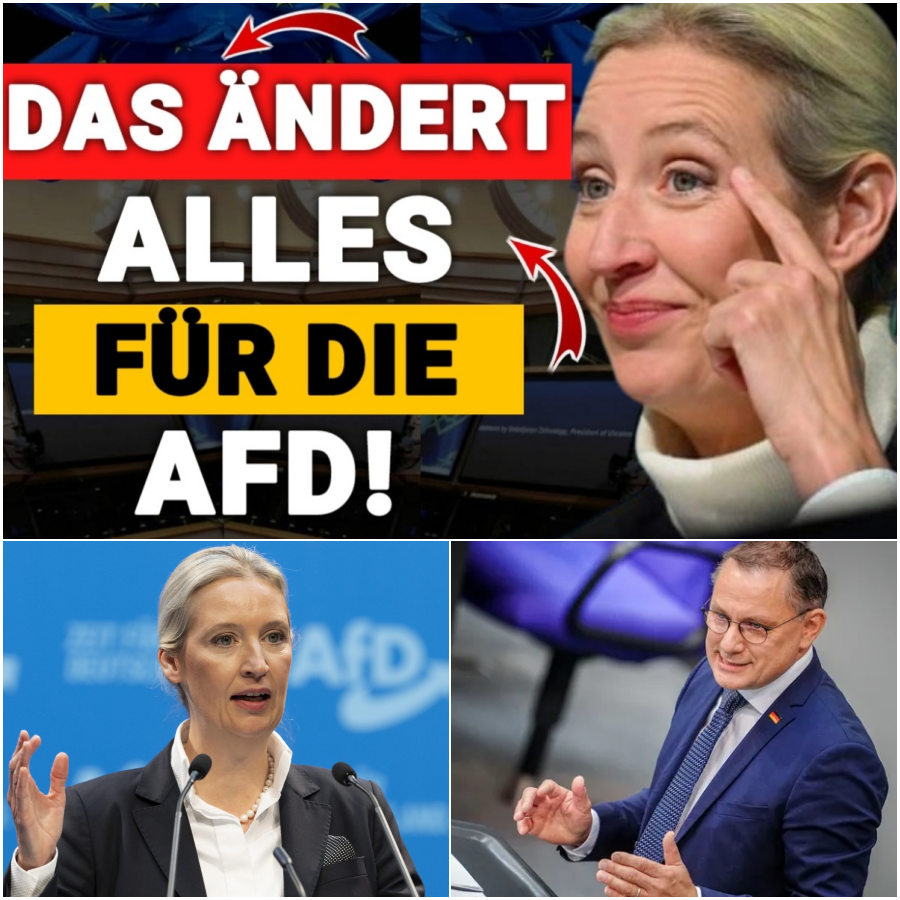 Politisches Erdbeben in Rheinland-Pfalz: Wie die unerwartete Rückkehr der Nichtwähler die deutsche Parteienlandschaft für immer verändert