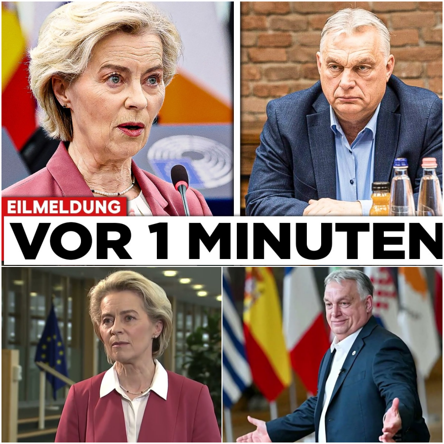 Der große Brüsseler Showdown: Wie Viktor Orbán der EU-Elite trotzt und warum die neuen Zensurpläne unsere gesamte Demokratie bedrohen