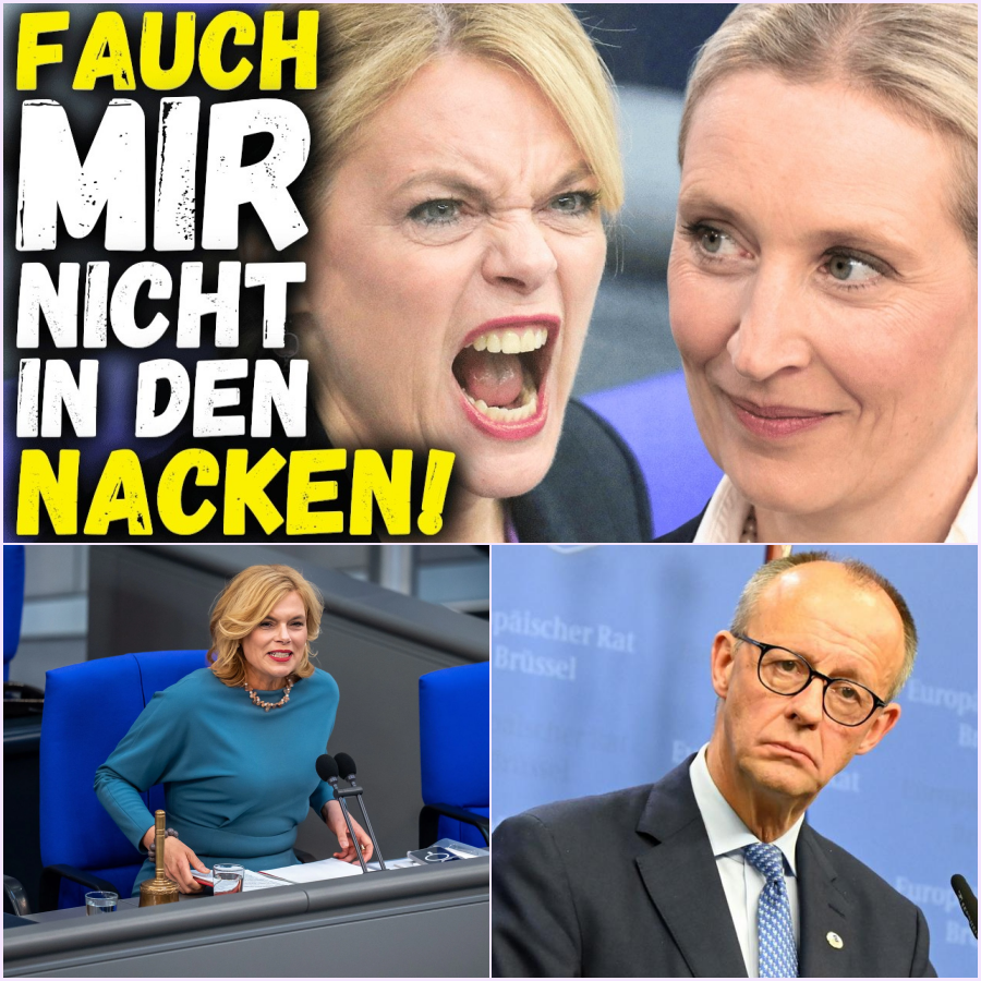 Eskalation im Plenum: Hitzige Debatten über Steuermilliarden, Sicherheit und die brisante Frage der Gewalt