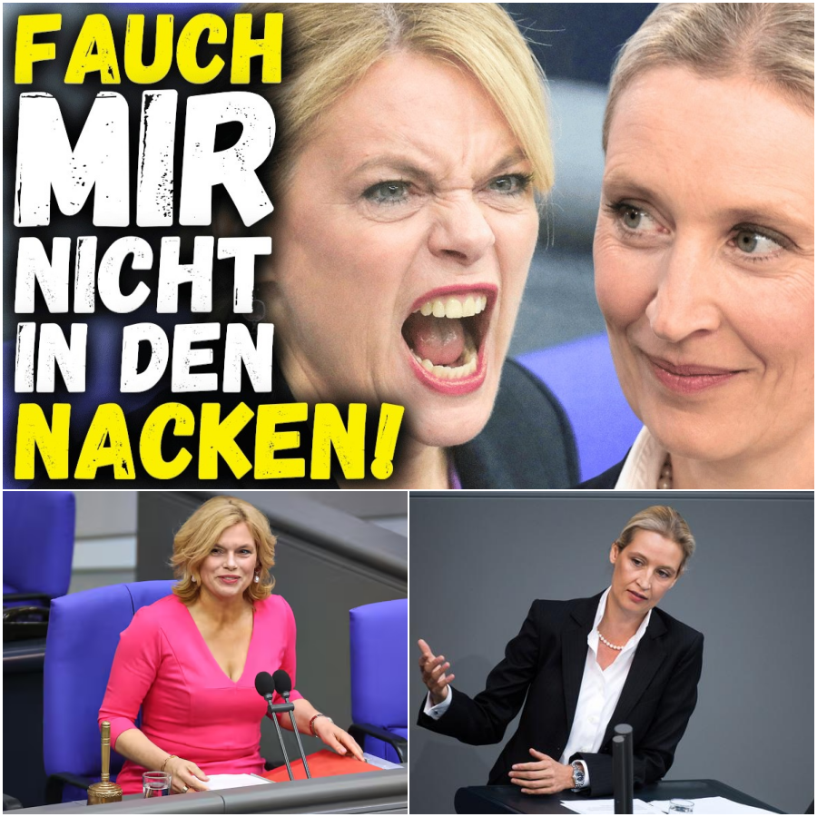 Eklat im Parlament: Klöckner knöpft sich Weidel vor – Milliarden-Vorwürfe, explodierende Kosten und die brennende Frage nach der inneren Sicherheit