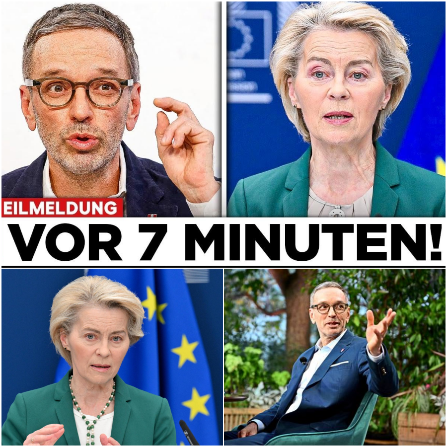 Das Beben von Wien: Wie Österreichs brisante Enthüllungen das Fundament der Brüsseler Machtstruktur erschüttern