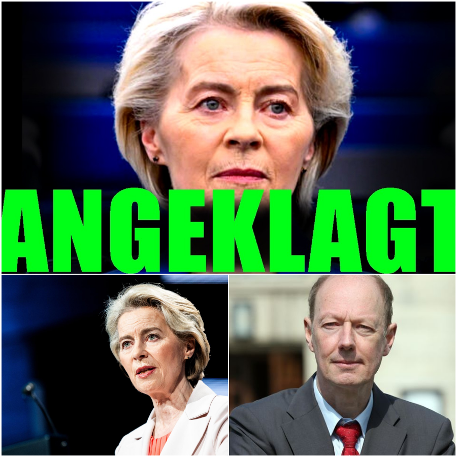 Das Ende der digitalen Freiheit? Wie ein geheimer EU-Plan das Internet überwachen wollte und in letzter Sekunde gestoppt wurde