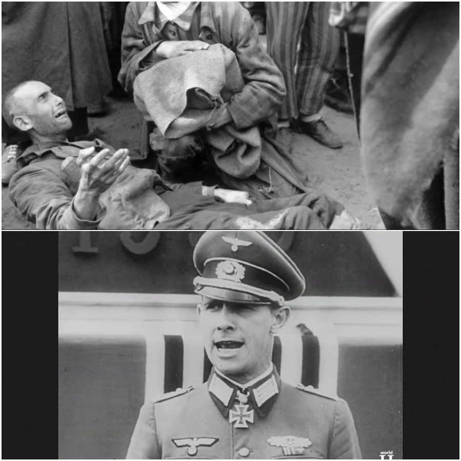 Verfolgung und Folter schwuler Männer unter dem Naziregime im Dritten Reich