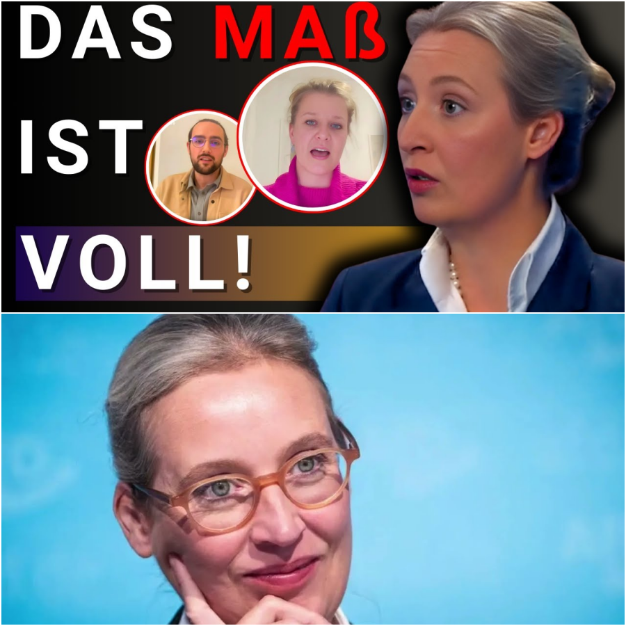 Fragwürdige Studiogäste gegen Alice – Sendung mit Dunja Hayali hinterlässt einen faden Beigeschmack