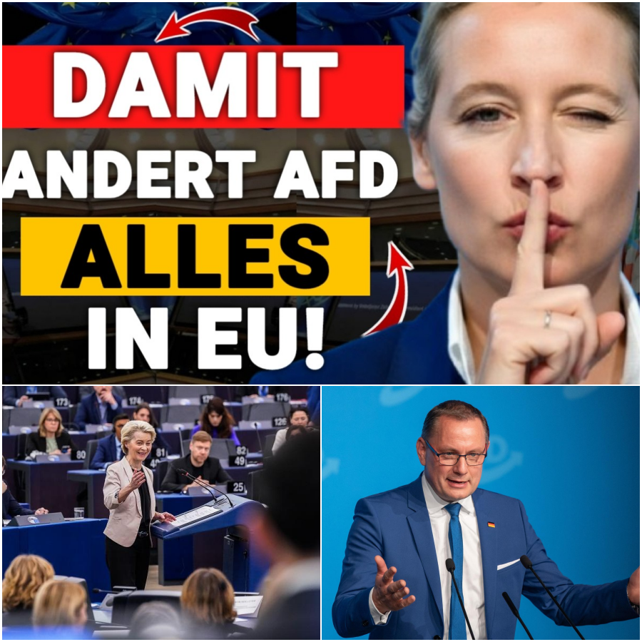 Der Ein-Stimmen-Krimi von Brüssel: Wie die Chatkontrolle im letzten Moment gestoppt wurde und Europa vor der Überwachung bewahrte