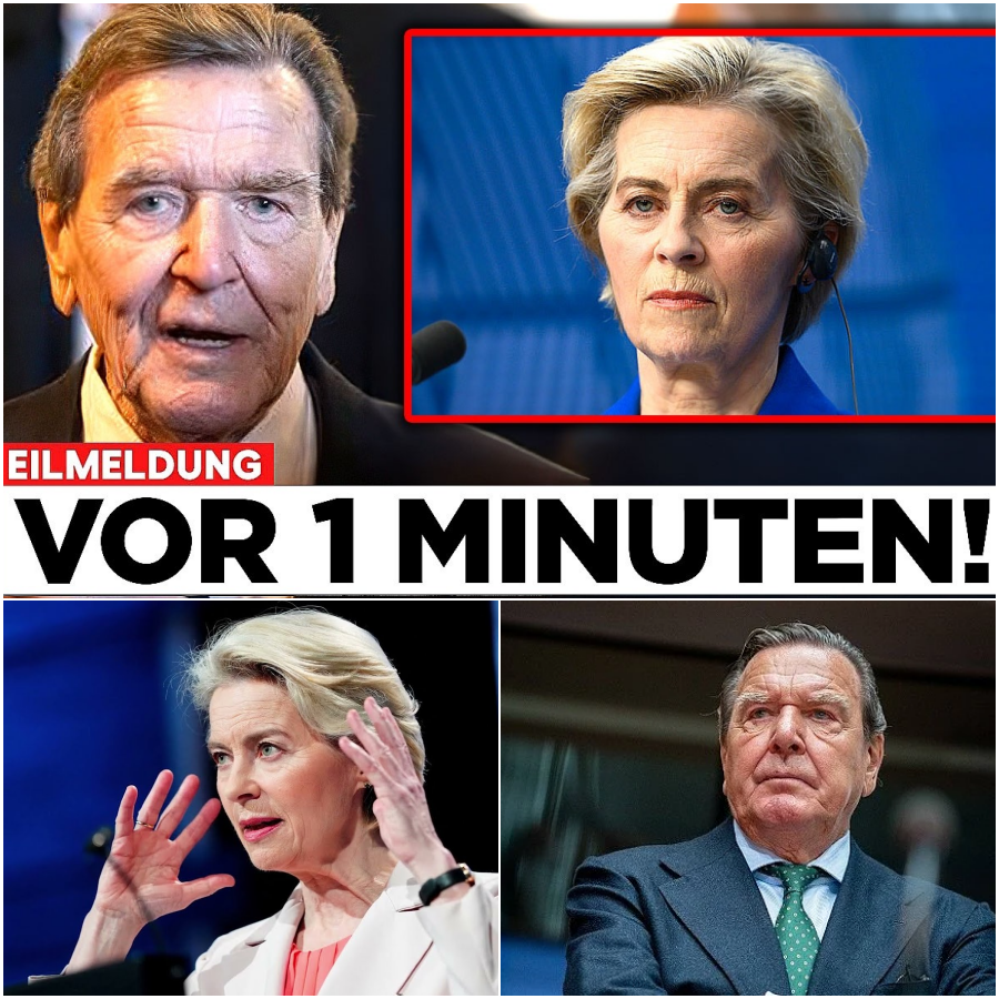 Das Brüssel-Diktat und der Verlust der Souveränität: Gerhard Schröders gnadenlose Abrechnung mit Ursula von der Leyen und der deutschen Politik