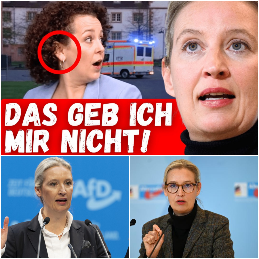 TV-Beben, bröckelnde Brücken und linke Fördergelder: Wenn die politische Blase auf die harte Realität prallt