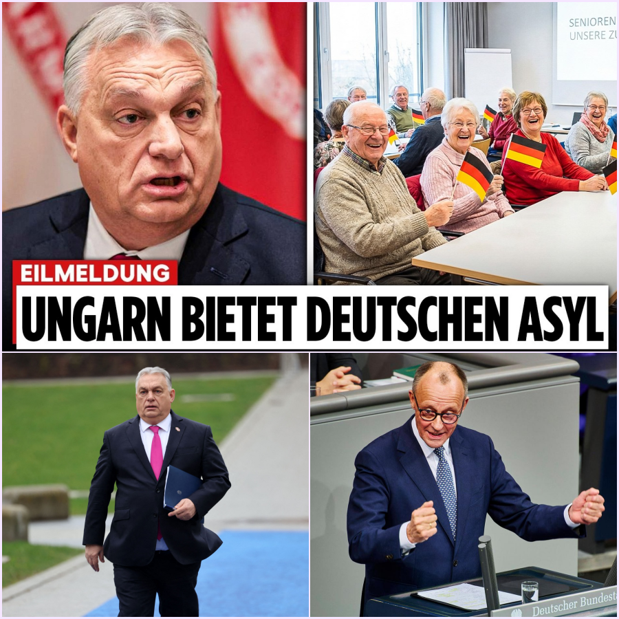 Politisches Beben in Europa: Warum Orbans “Rentner-Asyl” die deutsche Politik in Panik versetzt