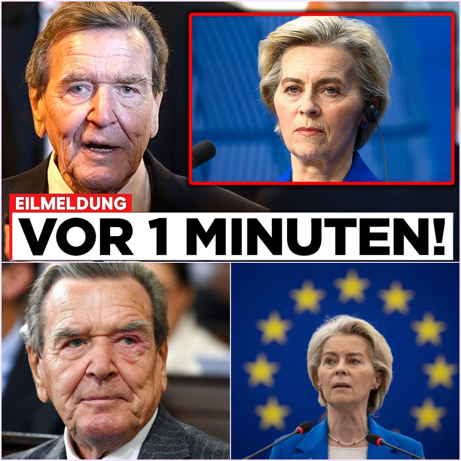 Paukenschlag des Altkanzlers: Gerhard Schröder rechnet gnadenlos mit Ursula von der Leyen und der Brüsseler Machtelite ab!