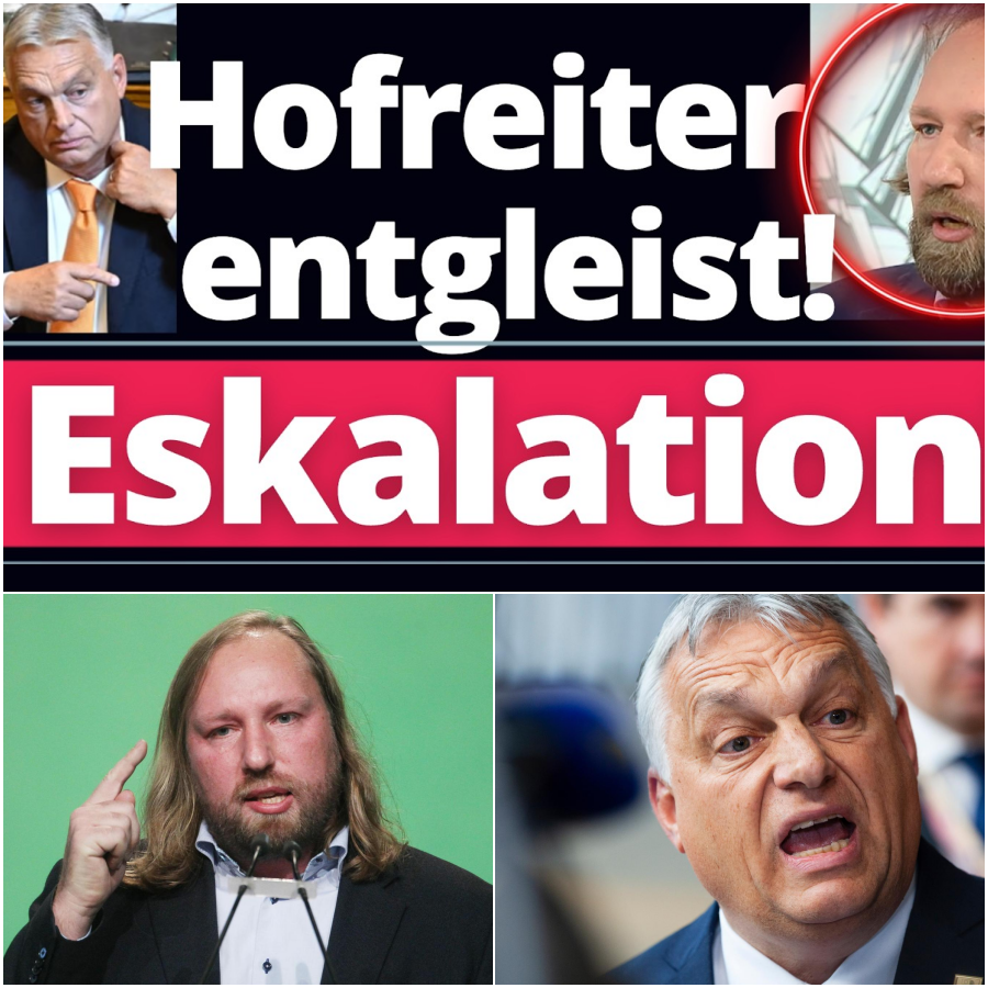 Skandal-Forderung aus Berlin: Wenn Anton Hofreiter demokratische Wahlen einfach ignorieren will