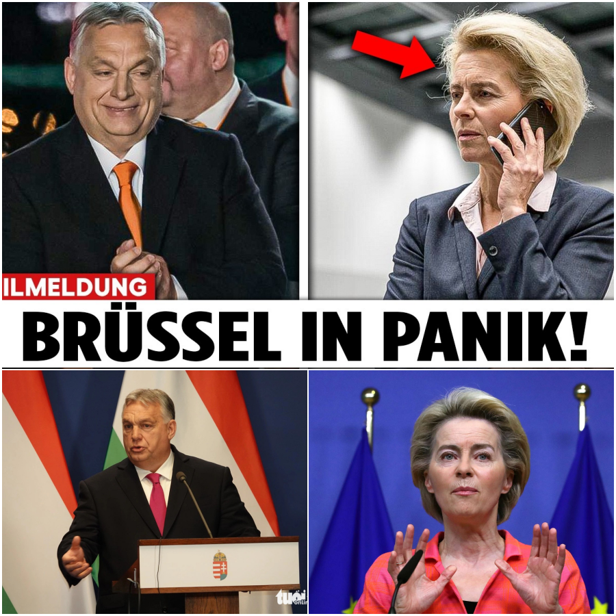 Brüsseler Panikmache und das ungarische Beben: Warum die EU vor Viktor Orbáns Wahlsieg zittert