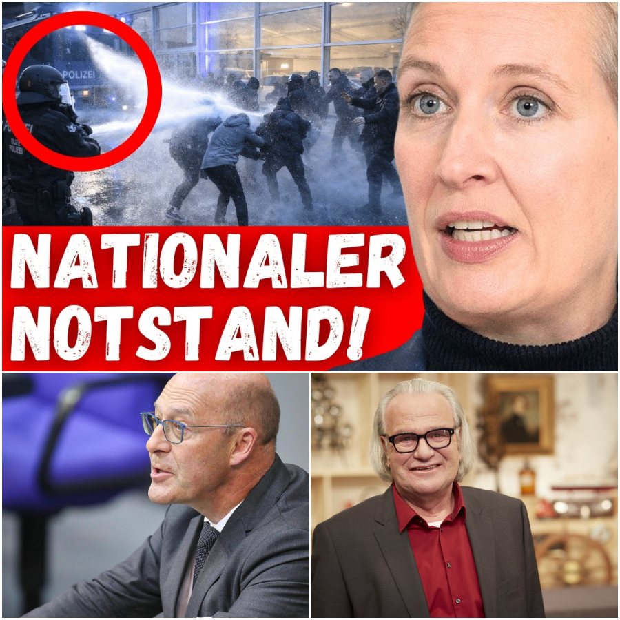 Straßenduell der Vorurteile: Wie ein unvorbereiteter Reporter an der Realität eines AfD-Politikers scheiterte