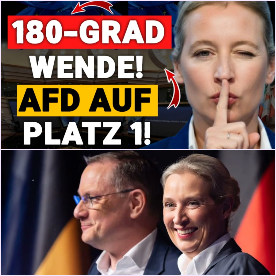 Nachwahl-Schock in Baden-Württemberg: Wie ein radikaler Wandel der Wählergruppen die politische Landschaft in Deutschland erschüttert