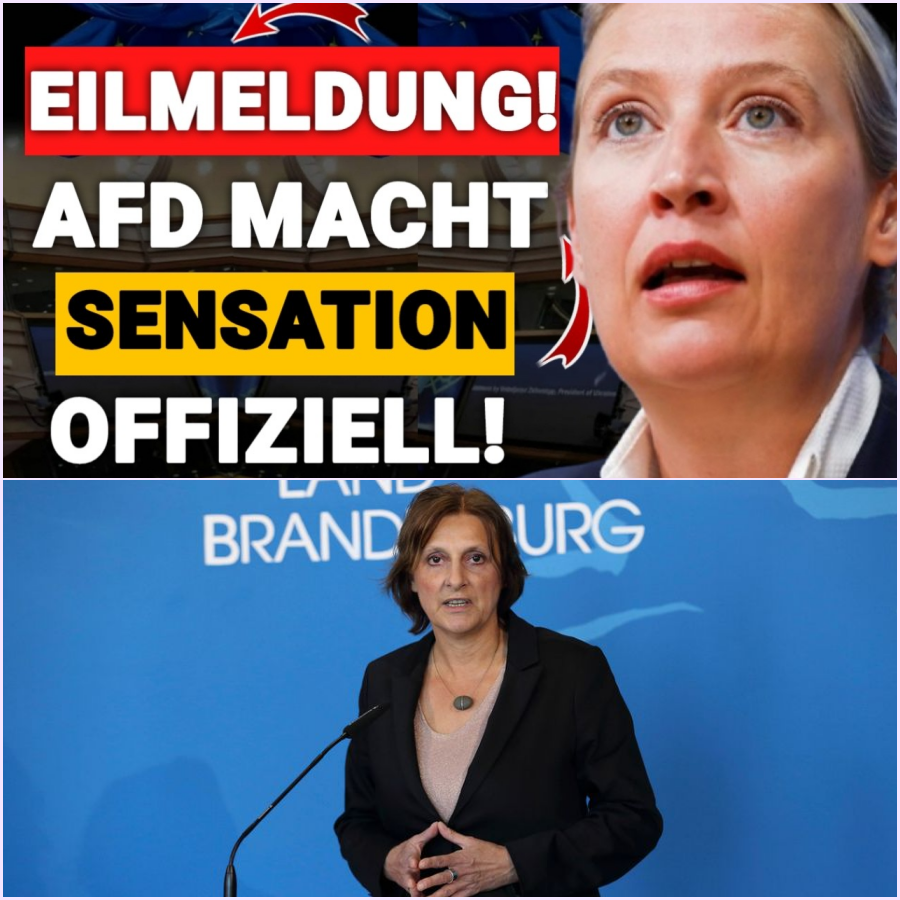 Politisches Erdbeben in Mannheim: Wie ein einziges Direktmandat die deutsche Parteienlandschaft für immer verändert