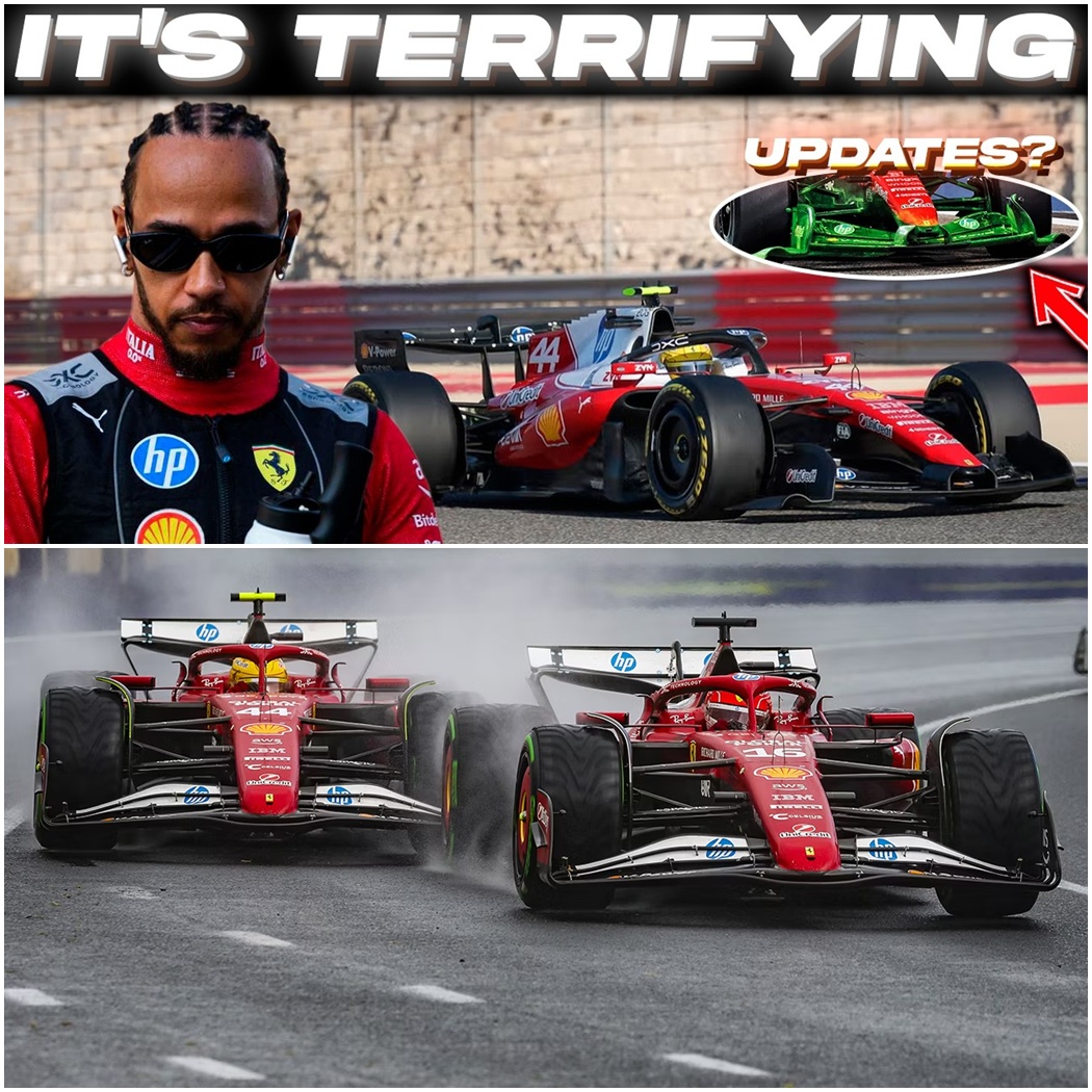 Er stand kurz vor der größten Nacht seines Lebens – Peter Maffay legte plötzlich das Mikrofon hin  DD