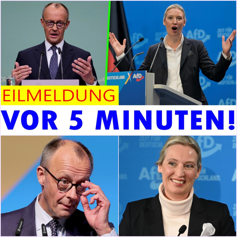 Skandal im Bundestag: Kanzler Merz verliert völlig die Kontrolle – Ist das sein politisches Ende?