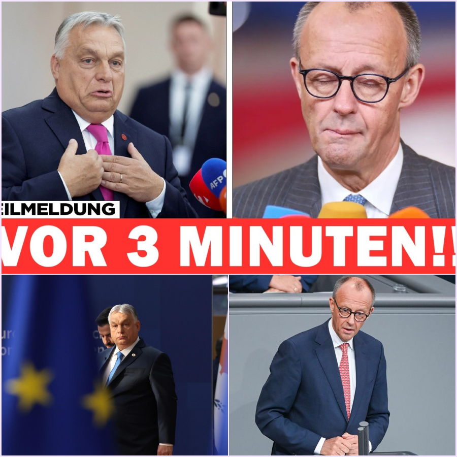 Das Schweigen von Brüssel: Wie Viktor Orbán Friedrich Merz auf offener Bühne vorführte und die Souveränität Deutschlands infrage stellte