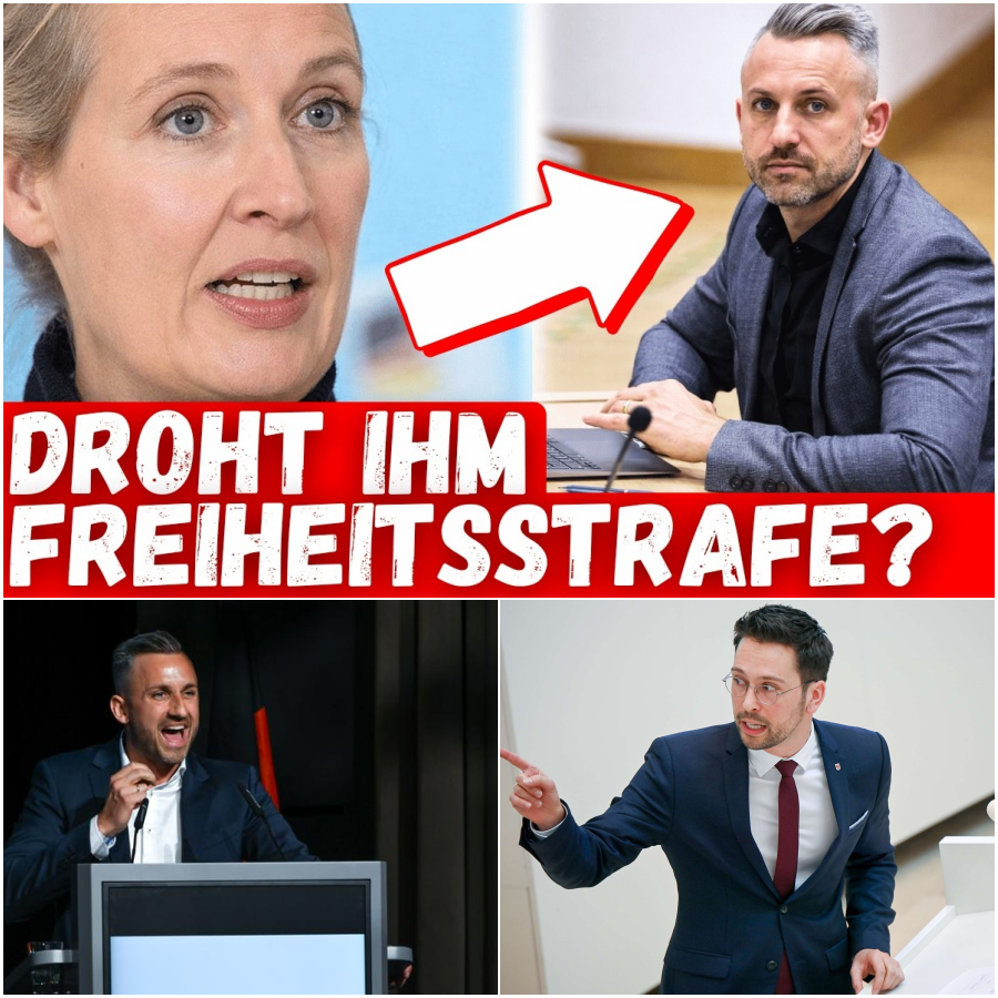 Der Eklat im Parlament: Zwischen historischem Trauma, Provokation und dem tiefen Riss durch Deutschland