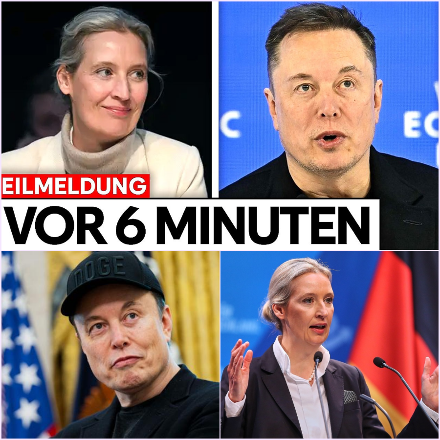 Milliarden-Defizite, Zensur-Vorwürfe und ein Tech-Titan greift ein: Wie Elon Musk die deutsche Politik aufmischt