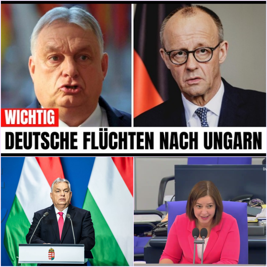 Der stille Exodus: Warum tausende Deutsche nach Ungarn auswandern und was das für Berlin bedeutet