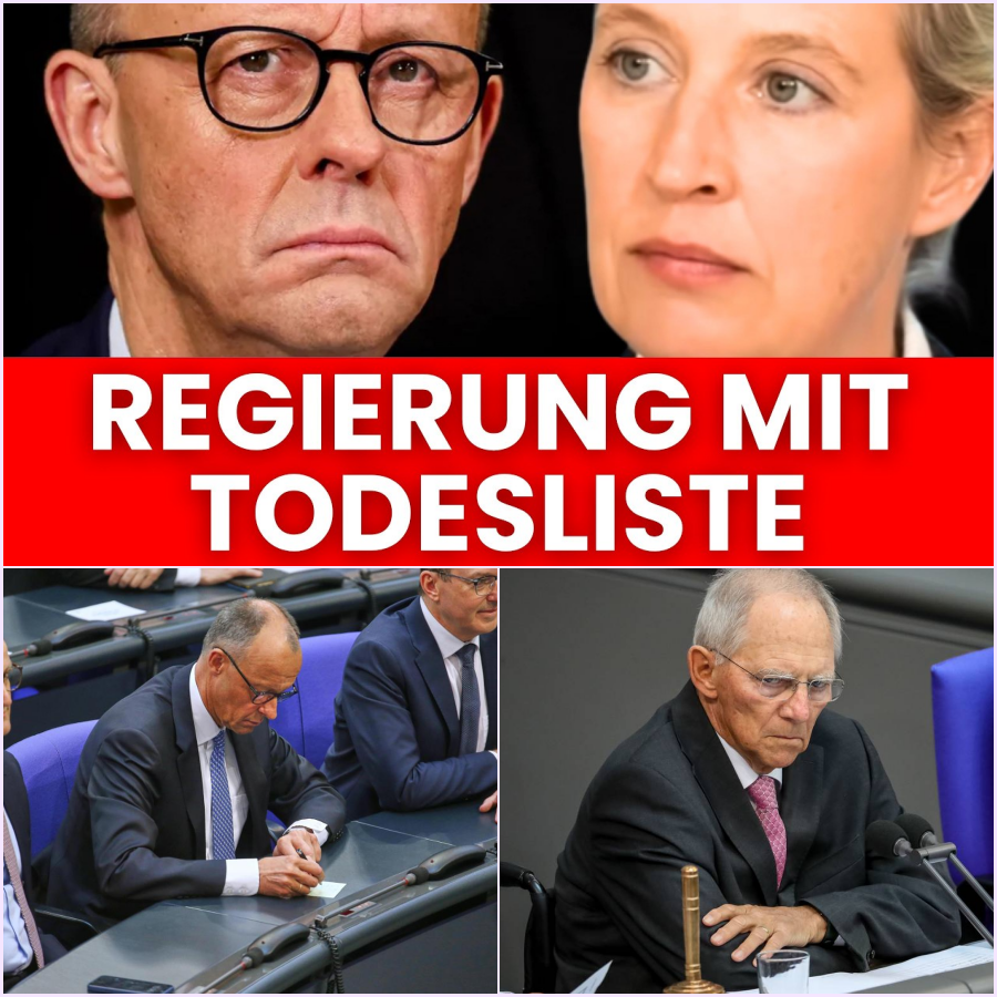 Geheimakten, Steuer-Millionen und ein globales Netzwerk: Der beispiellose NGO-Skandal, der die Politik in ihren Grundfesten erschüttert