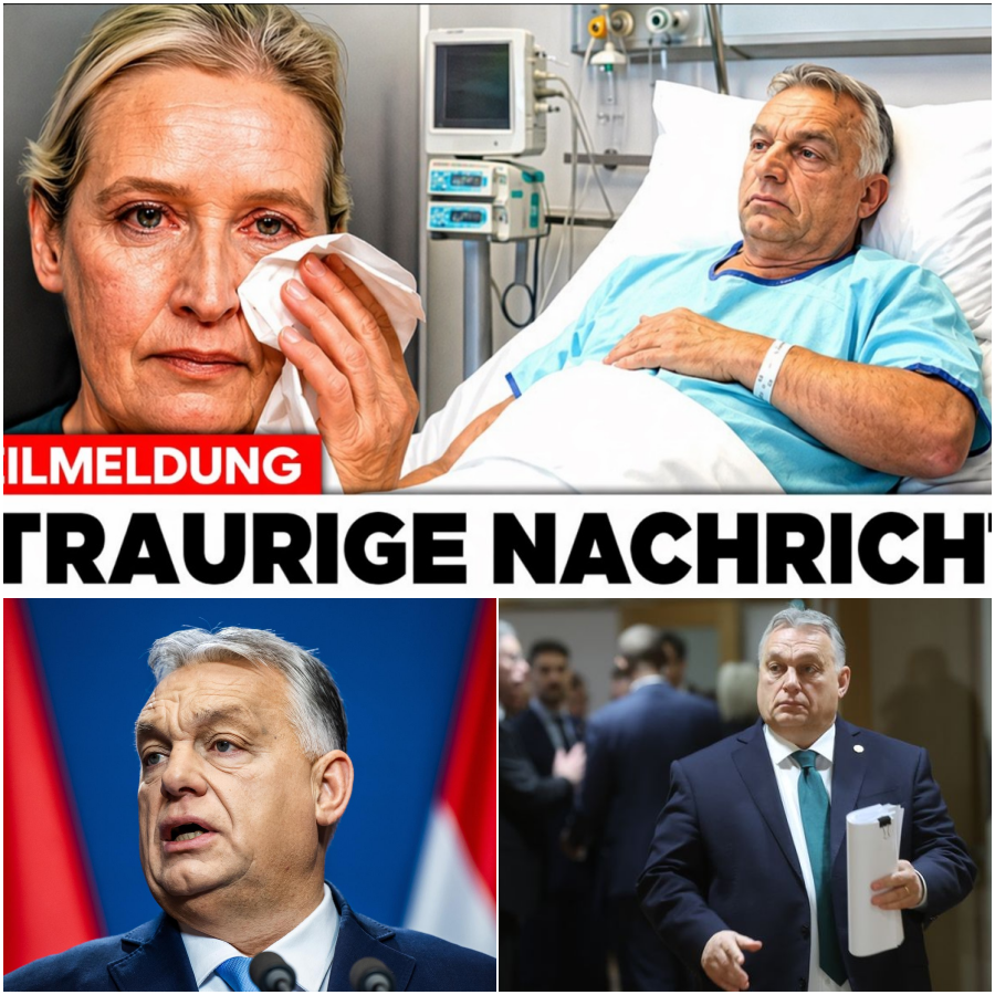 Schicksalswahl im Schatten von Drohungen und EU-Sanktionen: Der beispiellose Überlebenskampf des Viktor Orbán