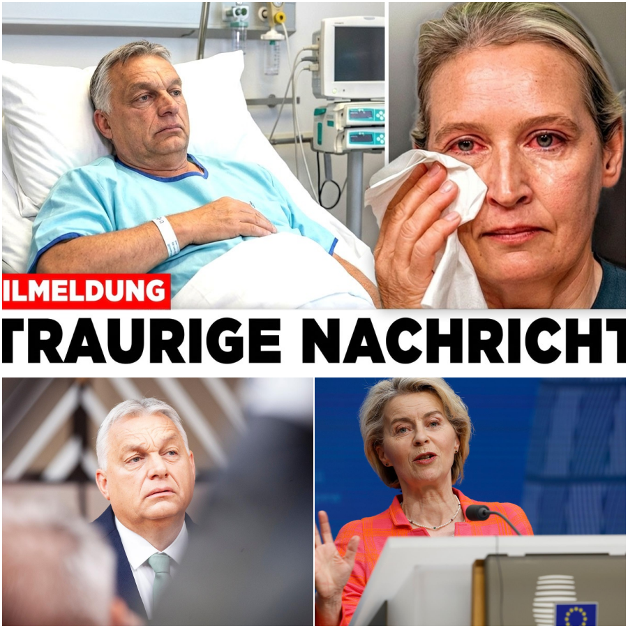 Das große Beben vor der Wahl: Die brisanten Pläne gegen Viktor Orbán und der beispiellose Machtkampf in der EU