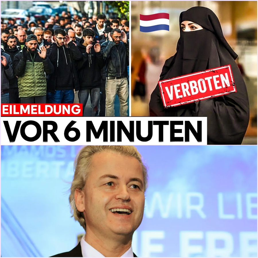 Der Paukenschlag von Holland: Wie die Niederlande ihre Kultur zurückerobern und Europa aufrütteln