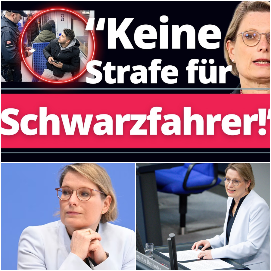 Polit-Beben im Justizministerium: Warum die geplante Straffreiheit für Schwarzfahrer den ehrlichen Bürgern teuer zu stehen kommt