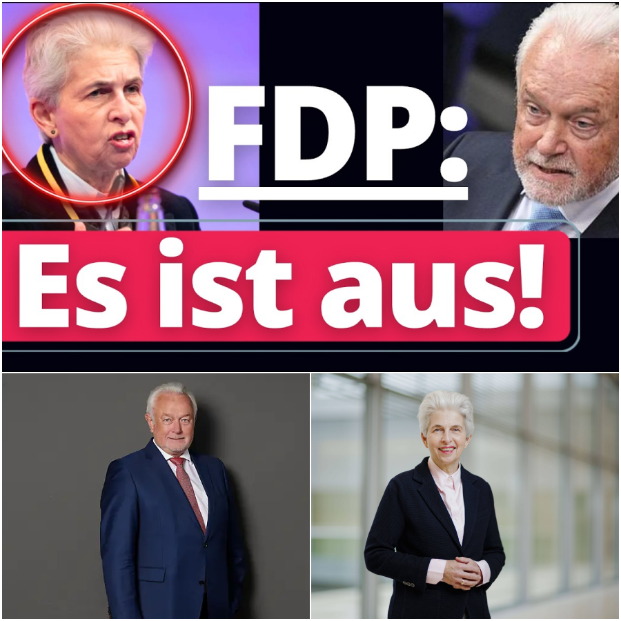 Der tiefe Fall der Liberalen: Schlammschlacht in der FDP und die Krise der Bürgerlichkeit