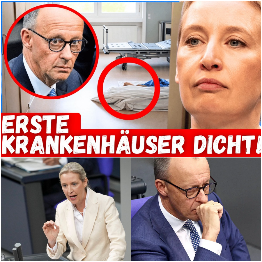 Briefe statt Taten: Der drohende Industrie-Kollaps und die schonungslose Abrechnung mit Friedrich Merz